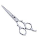Economy Hair Scissor