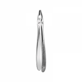 Apical Retention Forceps 
